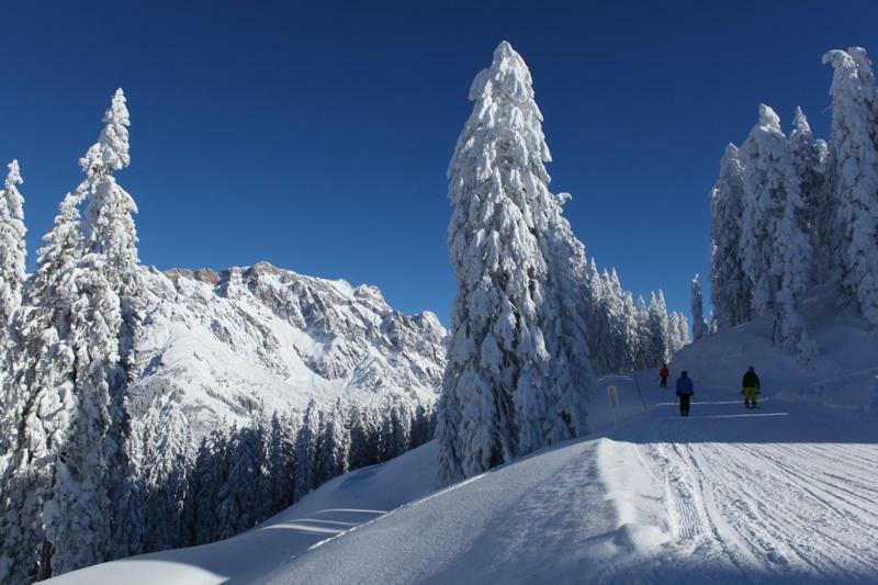 Am Berg 34 Apartamento Maria Alm am Steinernen Meer Exterior foto